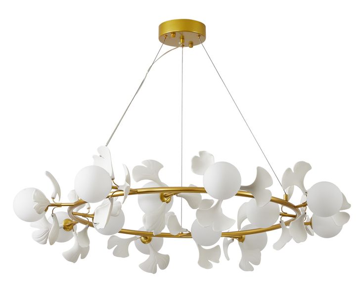 Best Ceiling Lights for Homes in Kochi